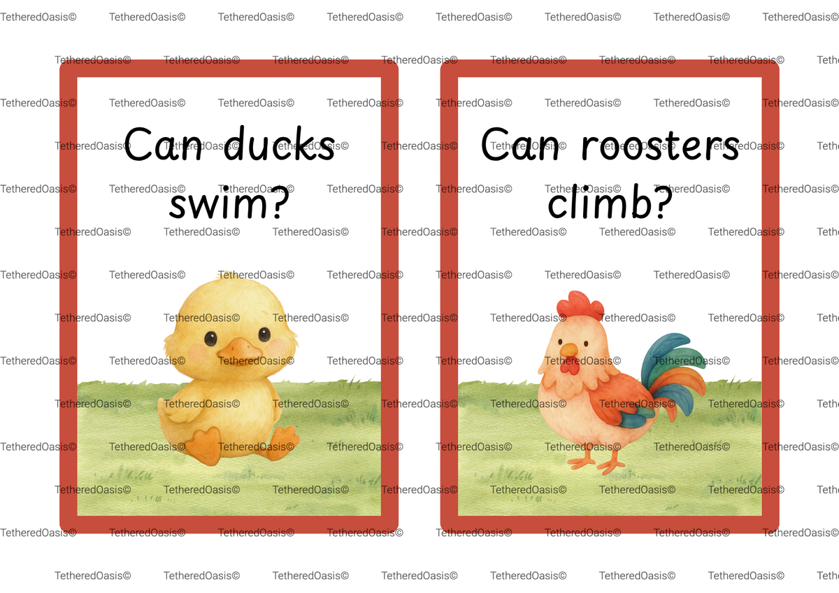 Conversation Starter Flashcards