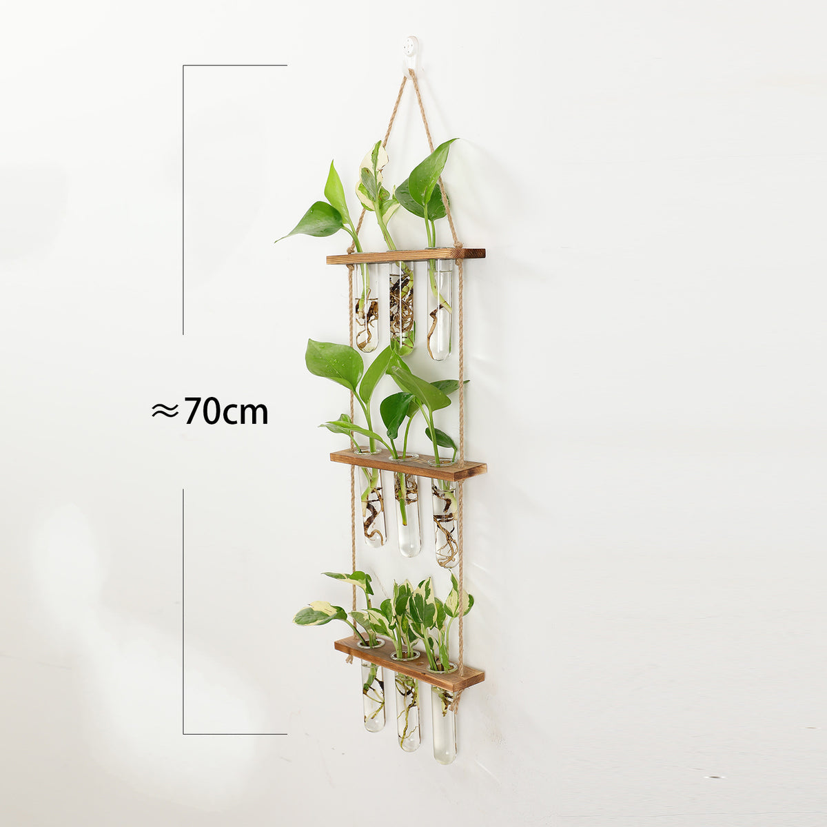 Hydroponic Plant test tube