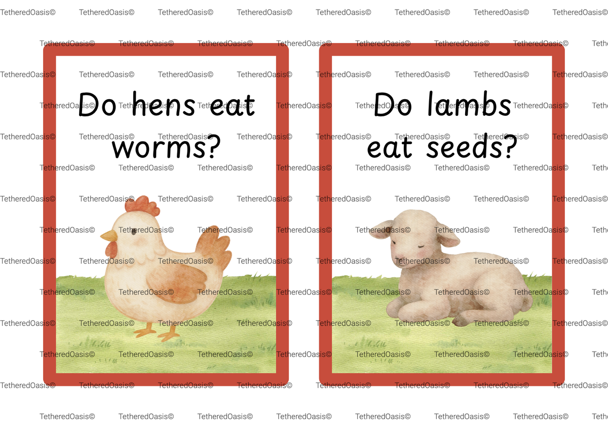 Conversation Starter Flashcards