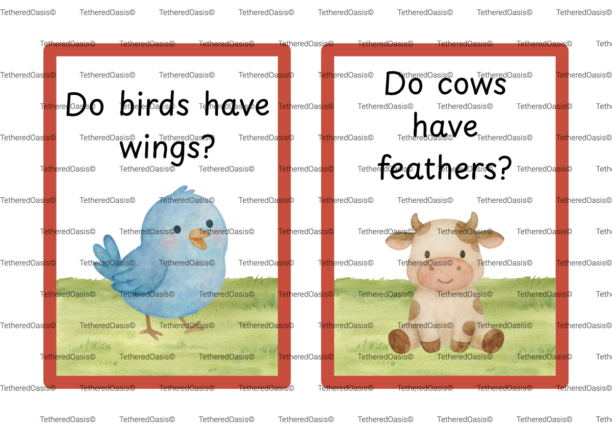 Conversation Starter Flashcards