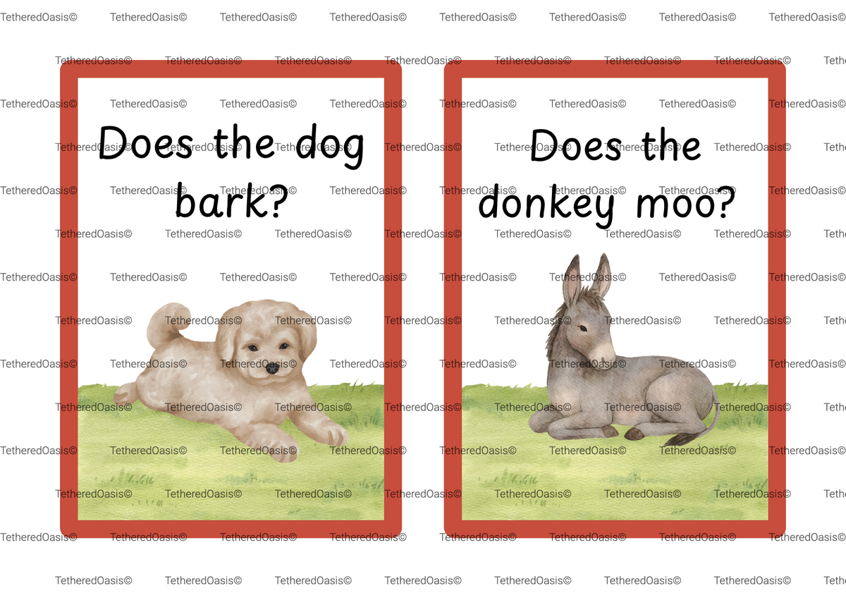 Conversation Starter Flashcards