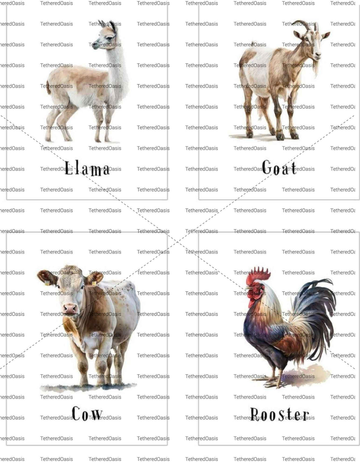 Wild Animal FlashCards